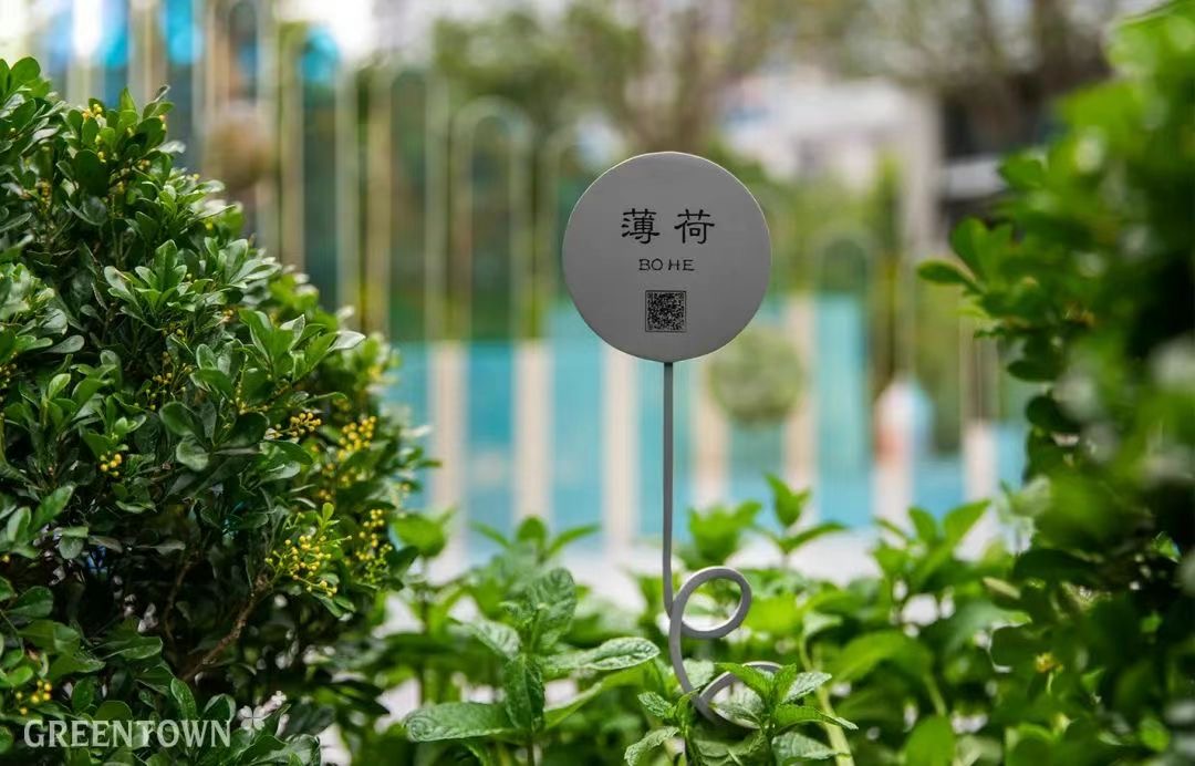 春风金沙迎来交付,惊艳了整个金沙湖!绿城“春风系”第四子即将到来!-三六云 春风金沙迎来交付,惊艳了整个金沙湖!绿城“春风系”第四子即将到来!-三六云